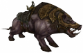 JavaliJovem.png
