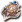 Escudo Titã.png