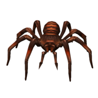 Bebé Aranha Besta Veneno.png