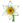 Narciso.png
