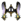 Faixa Chou (Básica).png