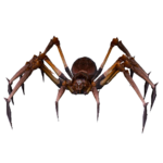 Aranha Mortal.png