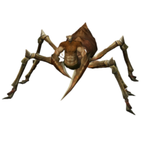 Aranha Soldado Alfa