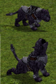 Pantera Negra Bebé 4.png