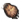 Pata de Urso.png