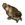 Peixe Gato Grelhado.png