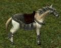 Cavalomilitarbranco.jpg