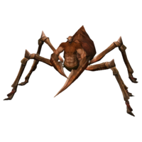 Aranha Soldado