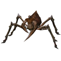 Aranha Soldado Mortal