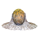 Ovo de Aranha.png