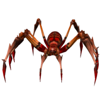 Aranha Vermelha